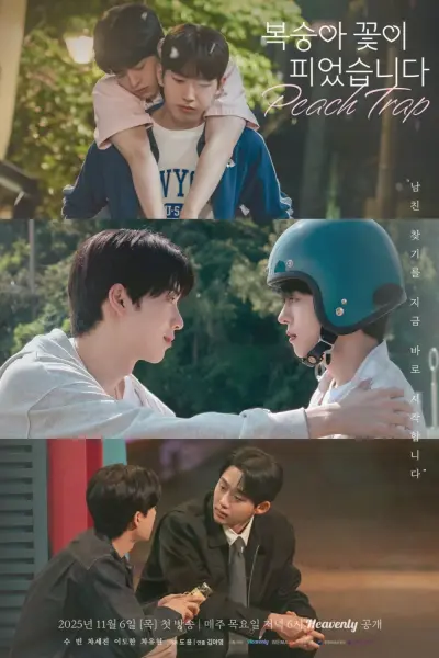 Hoa Đào Nở (Peach Trap)