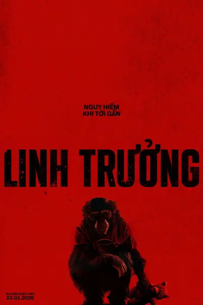 Linh Trưởng (Primate)