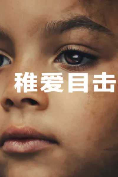 Nhân Chứng Duy Nhất (The Witness)