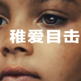 Nhân Chứng Duy Nhất (The Witness)
