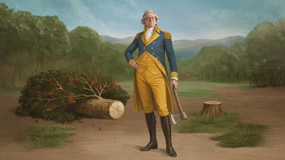 ảnh poster phim Life, Larry and the Pursuit of Unhappiness: An almost History of America
