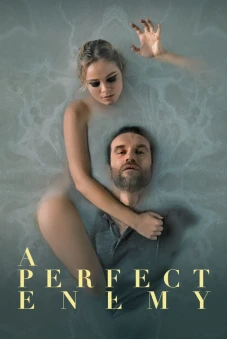 A Perfect Enemy