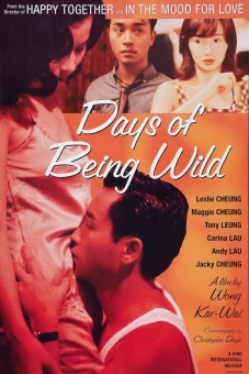 A Phi Chính Truyện (Days of Being Wild)