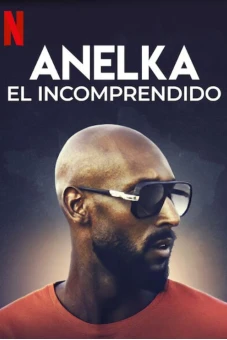 Anelka: Hiểu lầm (Anelka: Misunderstood)