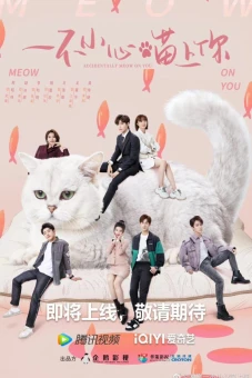 Bất Cẩn Meow Phải Anh (Accidentally Meow On You)