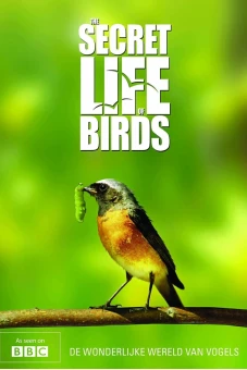 Bí ẩn cuộc sống loài chim (The Secret Life of Birds)