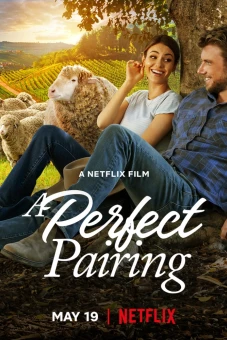 Bộ đôi hoàn mỹ (A Perfect Pairing)