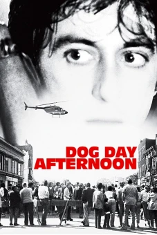 Buổi Chiều Xui Xẻo (Dog Day Afternoon)