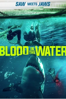 Cá Mập Dưới Nước (Blood in the Water)