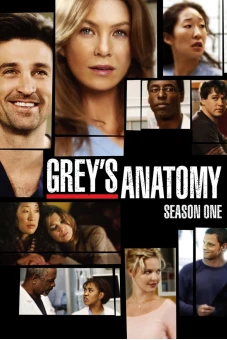 Ca Phẫu Thuật Của Grey (Phần 1) (Grey's Anatomy (Season 1))