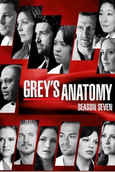 Ca Phẫu Thuật Của Grey (Phần 7) (Grey's Anatomy (Season 7))