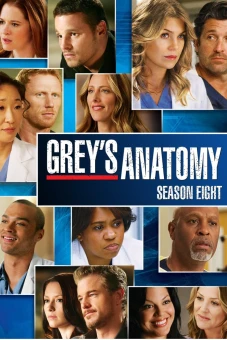 Ca Phẫu Thuật Của Grey (Phần 8) (Grey's Anatomy (Season 8))