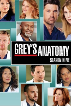 Ca Phẫu Thuật Của Grey (Phần 9) (Grey's Anatomy (Season 9))