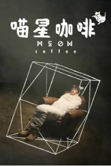 Cà phê thế giới mèo (Meow Coffee)