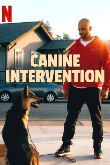 Cali K9: Trường huấn khuyển (Canine Intervention)