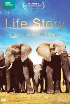 Câu Chuyện Cuộc Sống (Life Story)