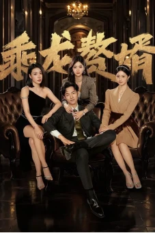 Chàng Rể Tài Ba (The Best Man)