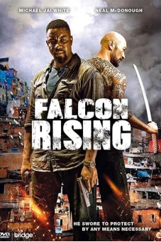 Chim Ưng Trỗi Dậy (Falcon Rising)