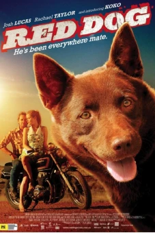Chú Chó Đỏ (Red Dog)