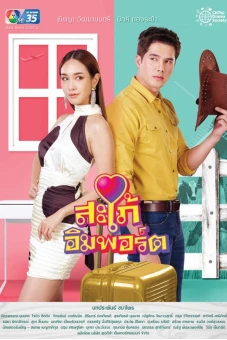 Cô Dâu Nhập Khẩu (Sapai Import)