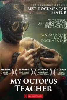 Cô giáo bạch tuộc (My Octopus Teacher)