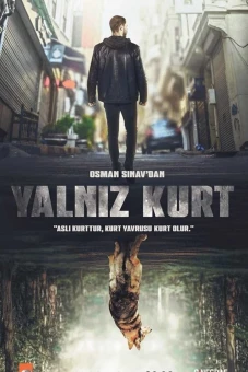 Con Sói Cô Độc (Yalnız Kurt)