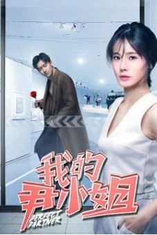 Cộng sự hoàn hảo (Perfect Partner)