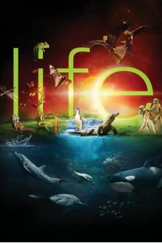 Cuộc Sống Hoang Dã (BBC: Life)