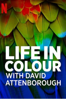 David Attenborough: Sự sống đầy màu sắc (Life in Colour with David Attenborough)