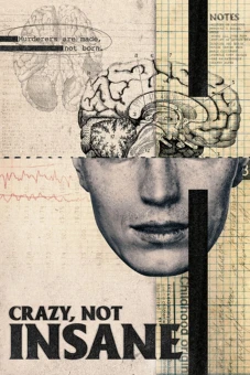 Điên, Không Mất Trí (Crazy, Not Insane)