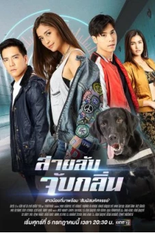 Điệp Viên Săn Mùi (Sai Lub Jub Klin)