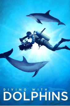 Diving with Dolphins