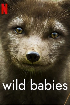 Động vật chào đời (Wild Babies)
