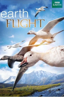 Earthflight