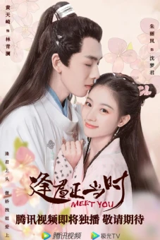 Gặp Chàng Đúng Lúc (Meet You)