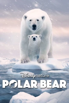 Gấu Bắc Cực (Polar Bear)