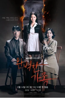 Gia Đình Hoàn Hảo (Perfect Family)