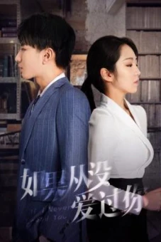 Giá Như Chưa Từng Yêu Anh (If I Never Loved You)
