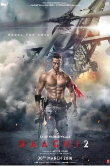 Giải Cứu Người Đẹp 2 (Baaghi 2)