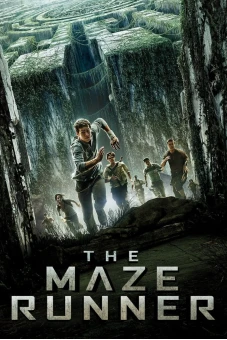 Giải Mã Mê Cung (The Maze Runner)