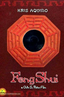 Gương phong thủy (Feng Shui)