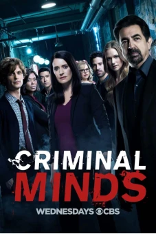 Tâm Lý Tội Phạm (Phần 13) (Criminal Minds (Season 13))