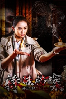 Hồ sơ đặc biệt (Special File)