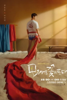 Hoa Nở Trên Cát (The Sand Flower)