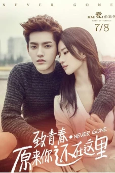 Hóa Ra Anh Vẫn Ở Đây (Never Gone: So You're Still Here)