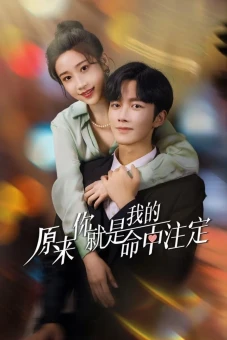 Hoá Ra Em Là Định Mệnh Đời Anh (You Are My Destiny)