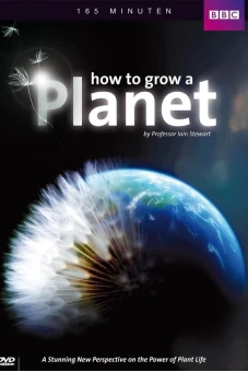 How to Grow a Planet