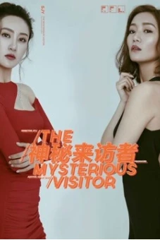 Khách bí ẩn (Mysterious visitor)