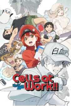 Khi Các Tế Bào Làm Việc (Phần 2) (Cells at Work! S2)