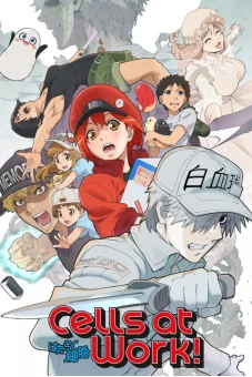 Khi các tế bào làm việc (Cells at Work!)